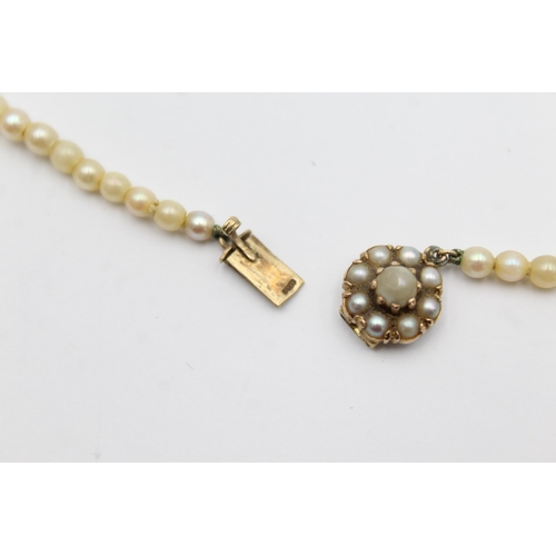 134 - 9ct gold clasp cultured pearl single strand necklace (12.4g)