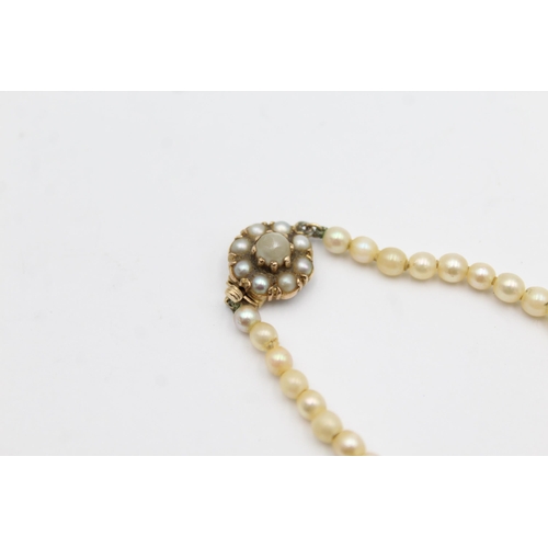 134 - 9ct gold clasp cultured pearl single strand necklace (12.4g)