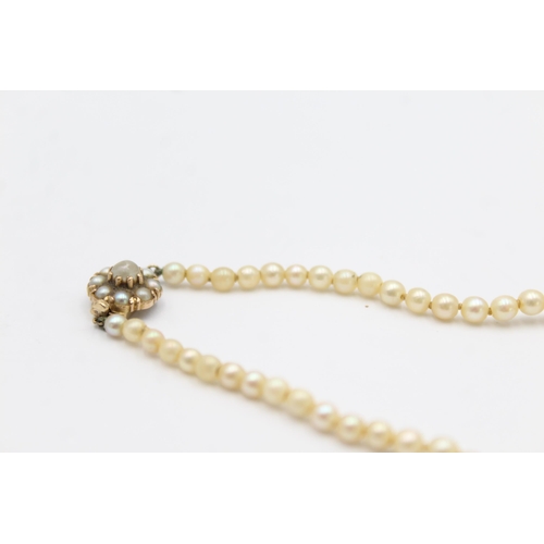 134 - 9ct gold clasp cultured pearl single strand necklace (12.4g)