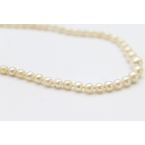 134 - 9ct gold clasp cultured pearl single strand necklace (12.4g)