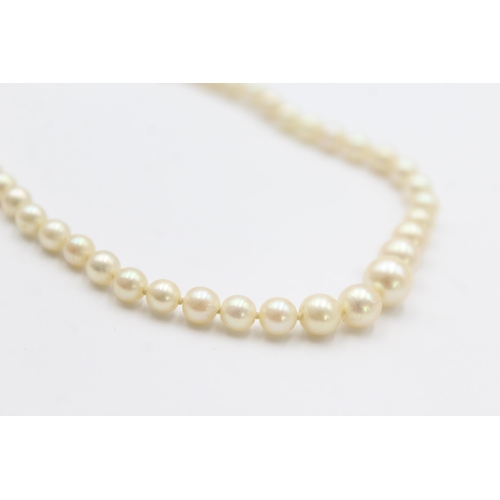 134 - 9ct gold clasp cultured pearl single strand necklace (12.4g)