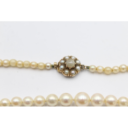 134 - 9ct gold clasp cultured pearl single strand necklace (12.4g)