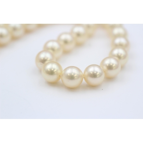 10 - 9ct Gold Diamond & Cultured Pearl Clasp Cultured Pearl Single Strand Necklace (36.8g)