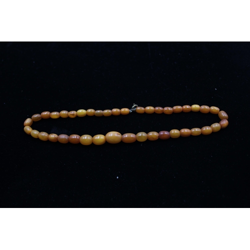 188 - A Single Strand Amber Bead Necklace (17g)