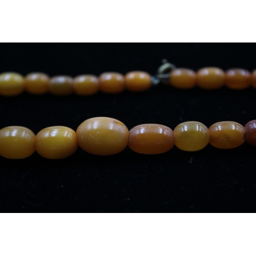 188 - A Single Strand Amber Bead Necklace (17g)