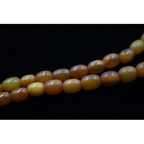 188 - A Single Strand Amber Bead Necklace (17g)