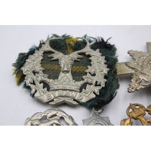 209 - 10 x Military Cap Badges Inc Hampshire, Suffollk, Blackwatch, Etc