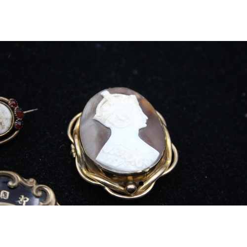 189 - Three Victorian Brooches Including Mourning And A Carved Shell Cameo (50g)