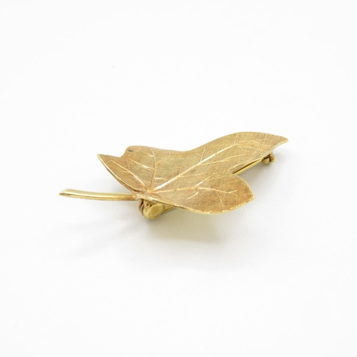 81 - 9ct gold Maple leaf brooch by P.F. 39mm long  3.1g