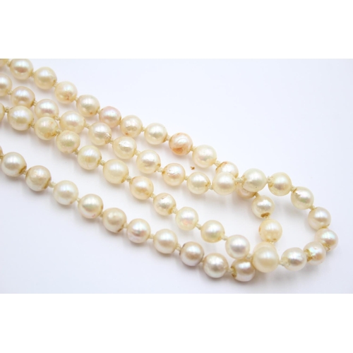 72 - 14ct Gold Clasped Vintage Cream Cultured Pearl Double Rope Necklace (46.3g)