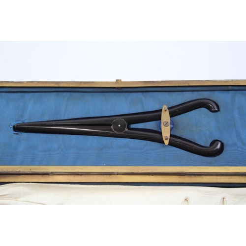 183 - Victorian 19th Century Leather Gilded Extendable Glove Box W/ Gloves & Stretcher