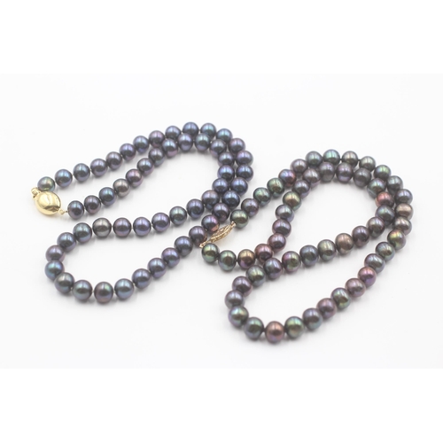 146 - 2 X 14ct Gold Clasped Black Cultured Pearl Set Necklaces (73.6g)