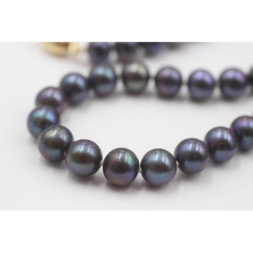 146 - 2 X 14ct Gold Clasped Black Cultured Pearl Set Necklaces (73.6g)