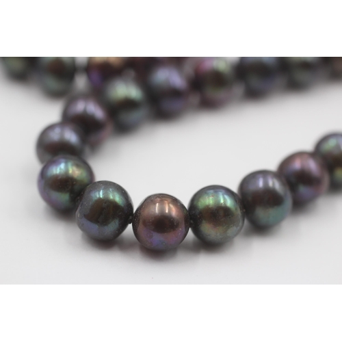 146 - 2 X 14ct Gold Clasped Black Cultured Pearl Set Necklaces (73.6g)