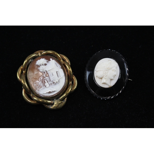 152 - Two Victorian Shell Cameo Brooches, One Mounted In Jet