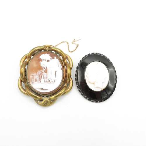 152 - Two Victorian Shell Cameo Brooches, One Mounted In Jet