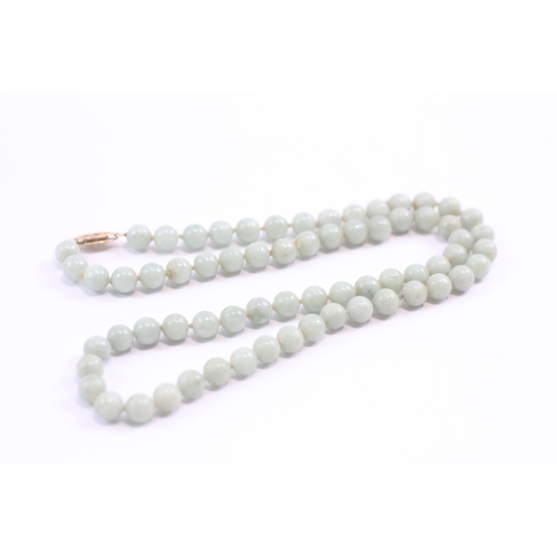 82 - 14ct Gold Clasp Jade Single Strand Necklace (27.5g)