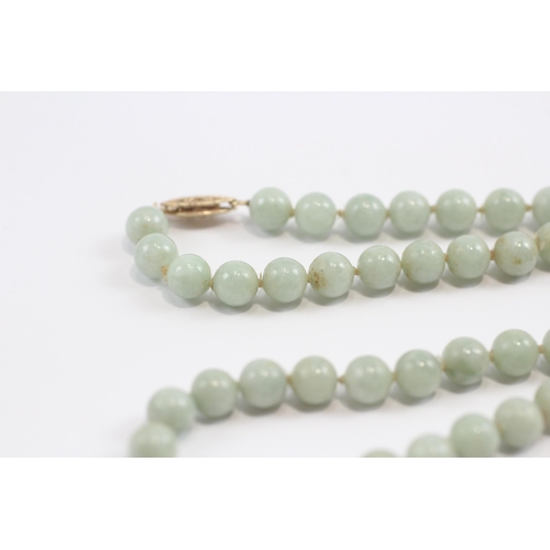 82 - 14ct Gold Clasp Jade Single Strand Necklace (27.5g)