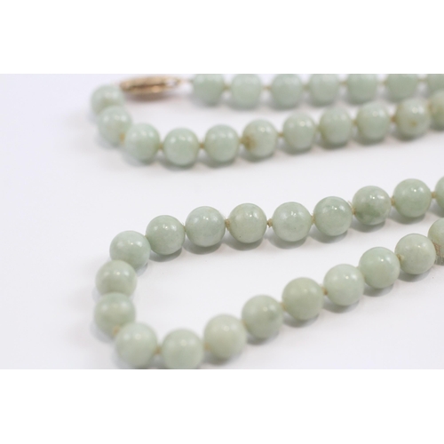 82 - 14ct Gold Clasp Jade Single Strand Necklace (27.5g)