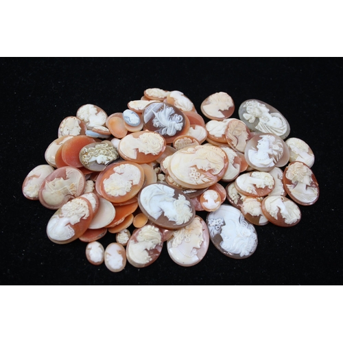 172 - A Collection Of Loose Shell Cameos In Various Sizes