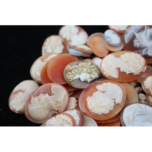 172 - A Collection Of Loose Shell Cameos In Various Sizes