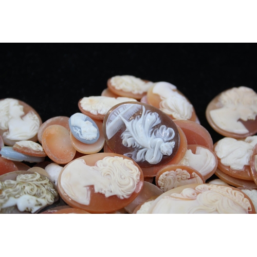 172 - A Collection Of Loose Shell Cameos In Various Sizes