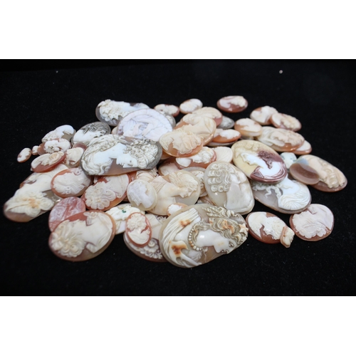 203 - A Collection Of Loose Shell Cameos In Various Sizes