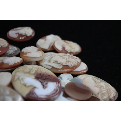 203 - A Collection Of Loose Shell Cameos In Various Sizes