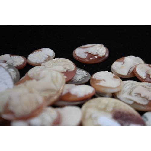 203 - A Collection Of Loose Shell Cameos In Various Sizes