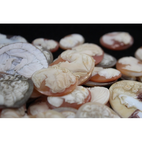 203 - A Collection Of Loose Shell Cameos In Various Sizes