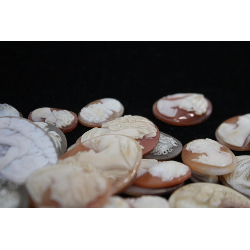 203 - A Collection Of Loose Shell Cameos In Various Sizes