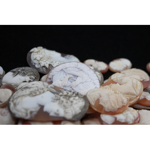 203 - A Collection Of Loose Shell Cameos In Various Sizes