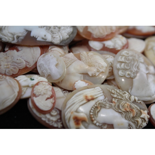 203 - A Collection Of Loose Shell Cameos In Various Sizes