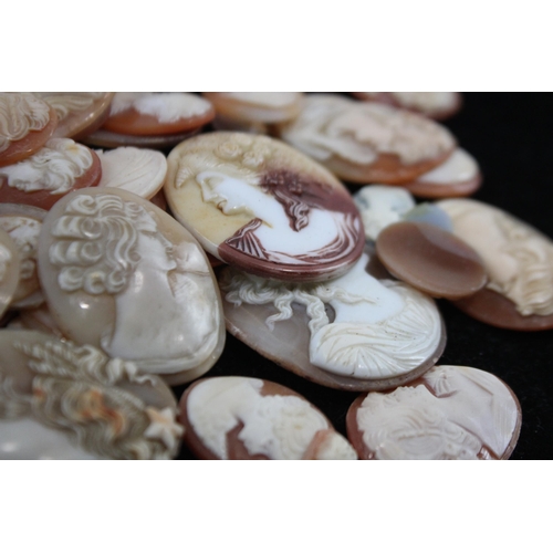 203 - A Collection Of Loose Shell Cameos In Various Sizes