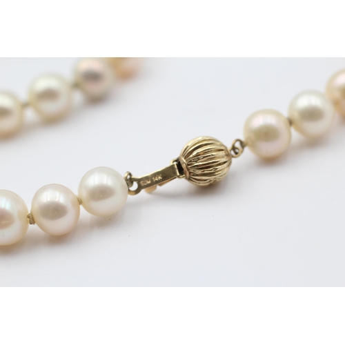 155 - 14ct Gold Clasp Cultured Pearl Single Strand Necklace (38.8g)