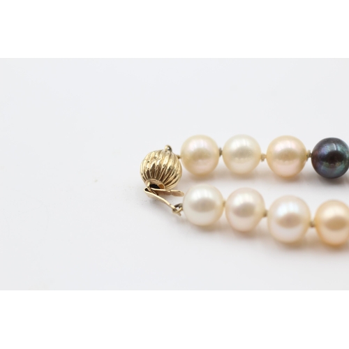 155 - 14ct Gold Clasp Cultured Pearl Single Strand Necklace (38.8g)