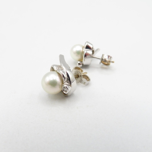 251 - 18ct White Gold Diamond & Saltwater Pearl Stud Earrings (4.7g)