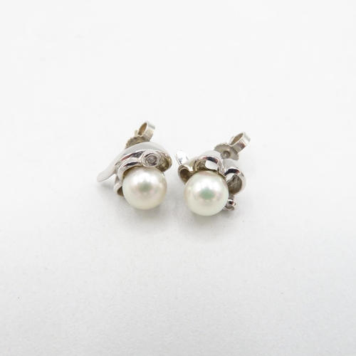 251 - 18ct White Gold Diamond & Saltwater Pearl Stud Earrings (4.7g)