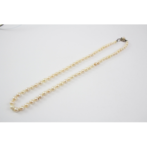 95 - 14ct Gold Cultured Pearl And Sapphire Set Clasp In A Cultured Pearl Necklace (29.6g)