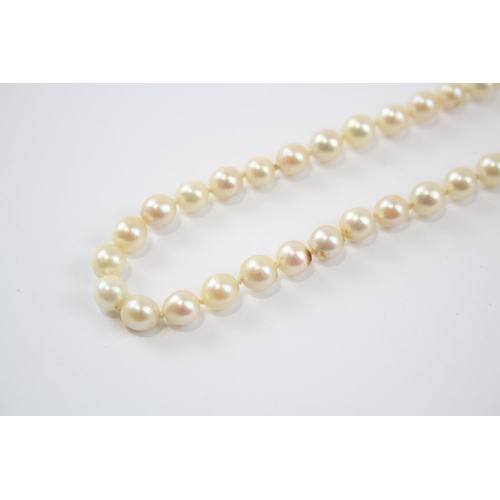 95 - 14ct Gold Cultured Pearl And Sapphire Set Clasp In A Cultured Pearl Necklace (29.6g)