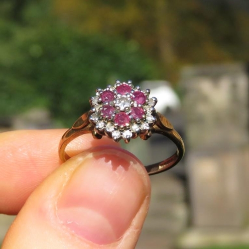 29 - 9ct Gold Diamond & Ruby Cluster Ring (2.2g) Size  O 1/2
