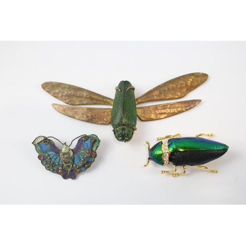 244 - Three antique bug brooches as seen (30g)