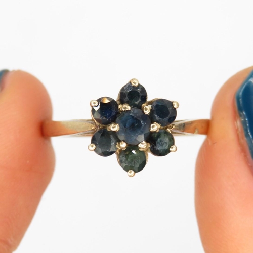 2 - 9ct gold sapphire floral cluster ring (2.4g) Size  P