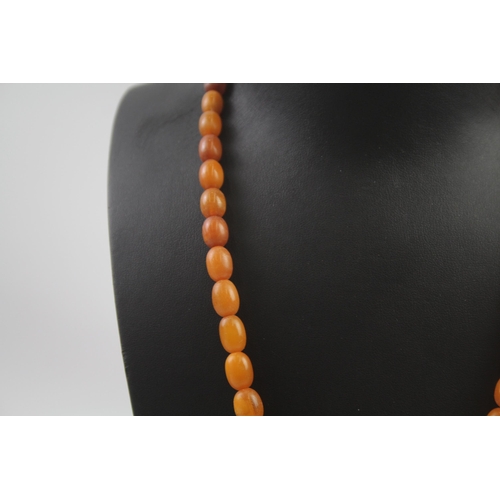 196 - Bakelite graduated necklace. 30g