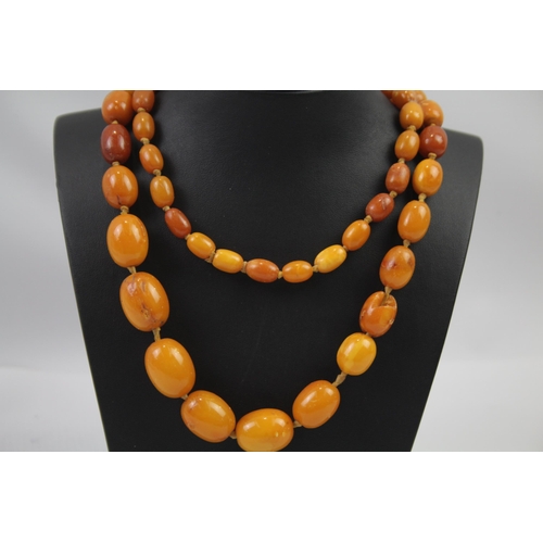 165 - Antique Amber graduated necklace individually knotted (66g)