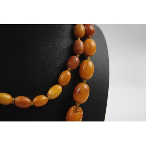 165 - Antique Amber graduated necklace individually knotted (66g)