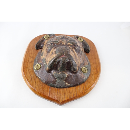 265 - Vintage Cast Iron Painted Novelty British Bulldog Wall Plaque