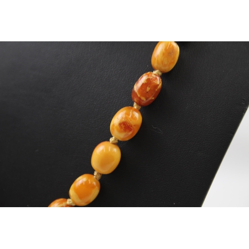 210 - Butterscotch Amber necklace individually knotted (42g)