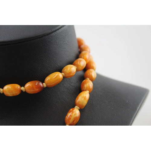 210 - Butterscotch Amber necklace individually knotted (42g)