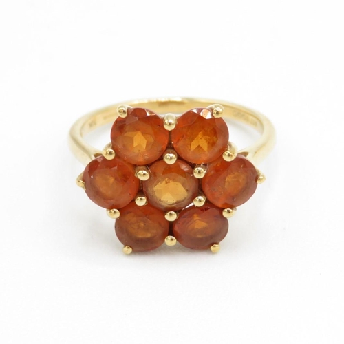 10ct gold orange garnet cluster ring, claw set (3.2g) Size  N 1/2